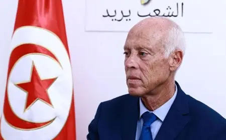 تونس.. قيس سعيد يعين أعضاء حكومته الجديدة