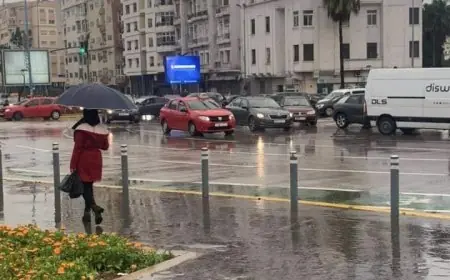 أمطار مصحوبة بالبرد بعدد من مناطق المملكة إبتداء من الثلاثاء