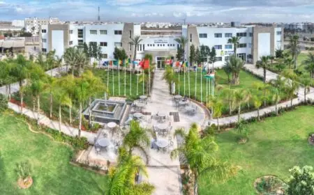 الجامعة الدولية بأكادير في قلب رهانات التحول الطاقي الأخضر بالمملكة