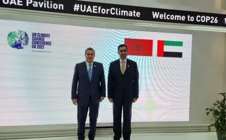 “كوب-26".. أخنوش يتباحث مع وزير الصناعة الإماراتي
