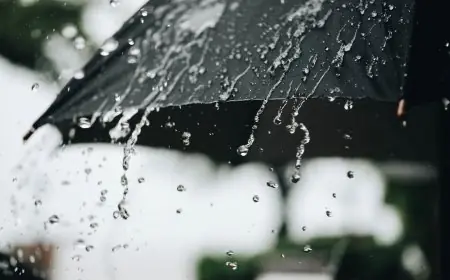 طقس الخميس .. جو بارد مع نزول تساقطات مطرية بهذه المناطق