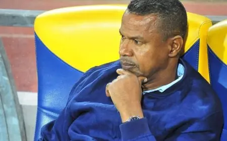 الرجاء يستغني عن خدمات "الشابي" ويستعد للتعاقد مع مدرب جديد