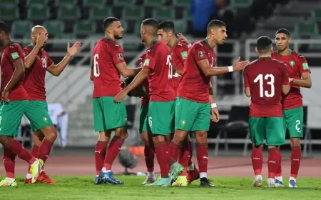 تغيير ملعب مباراة المنتخب المغربي ضد غينيا