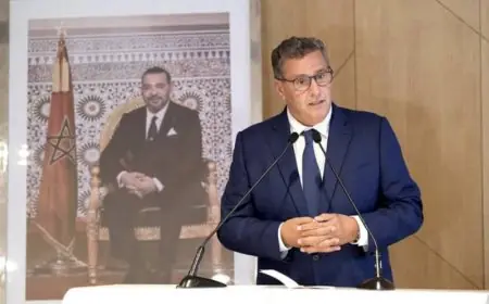 اخنوش يعلن عن خطة الحكومة للرفع من قدرات هيئة التعليم التكوينية