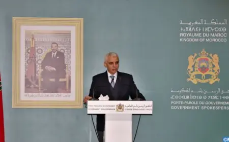 وزير الصحة يؤكد أن الوضعية الوبائية بالمغرب مستقرة