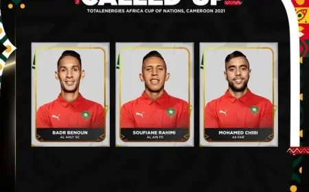 حليلوزيتش يستدعي الشيبي وبانون ورحيمي للمشاركة في كأس افريقيا