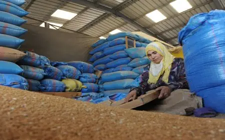 واردات المغرب من القمح تبلغ 40 مليون قنطار