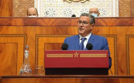 اخنوش: حجم منجزات مخطط المغرب الأخضر بلغت الطموح المسطر وحققت الأهداف المنتظرة