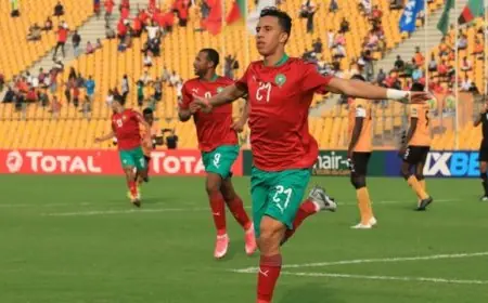 الاعلان عن نسبة حضور الجمهور في مباريات كأس افريقيا