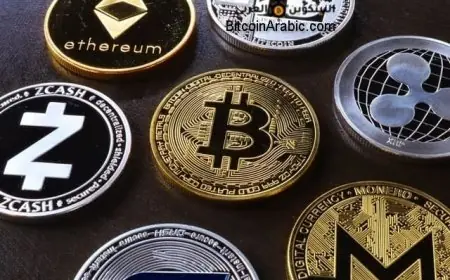 المغرب يتدارس الجدوى من التعامل بالعملات المشفرة
