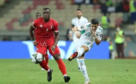 كأس افريقيا.. غينيا الاستوائية تهزم الجزائر