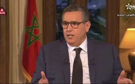 اخنوش يلمح الى فتح الحدود قريبا