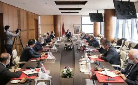 أخنوش يلتقي زعماء الأحزاب الممثلة في البرلمان لمناقشة الحالة الوبائية وتسريع التلقيح