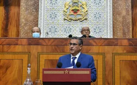 اخنوش يؤكد على ضرورة دعم "الأسود" بعد الاقصاء من "الكان"