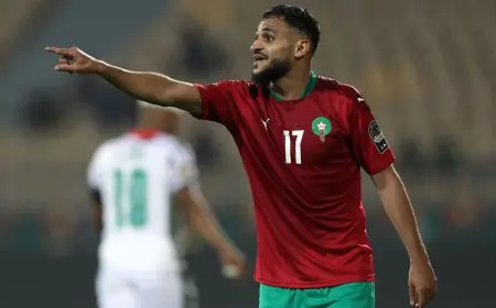 الكاف يوقف سفيان بوفال ويغيبه عن المباراة المصيرية أمام الكونغو الديموقراطية