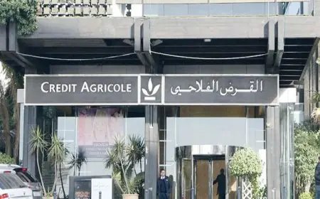 القرض الفلاحي يعبئ 6 ملايير درهم لمواكبة الفلاحين في مواجهة تداعيات الجفاف