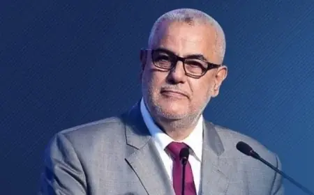 بنكيران يستغرب الحملة التي يتعرض لها أخنوش
