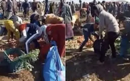 تدافع ومشاحنات في إحدى الاسواق الاسبوعية بضواحي القنيطرة والسلطات توضح