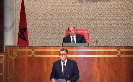 أخنوش يدعو إلى عقد أول جلسات الحوار الاجتماعي يوم الخميس المقبل