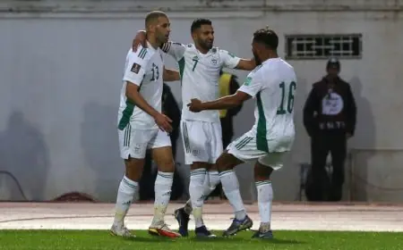 الجزائر تطالب باعادة مباراتها أمام الكاميرون