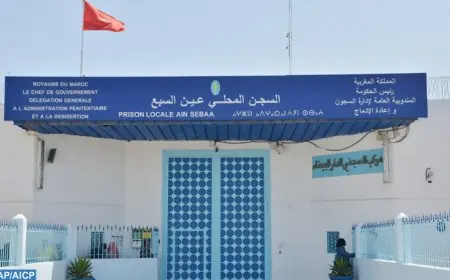 قاضي التحقيق يقرر احالة "التازي" ومن معه في قضية النصب على سجن عكاشة