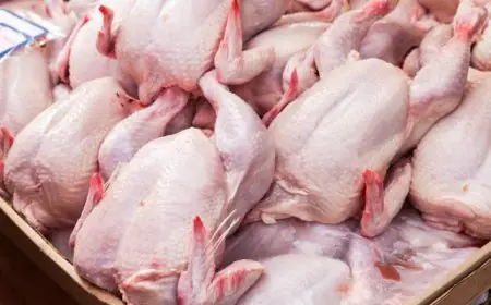 حجز حوالي طنين من لحوم الدواجن الفاسدة بطنجة