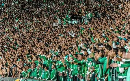 الرجاء بدون تنقل جمهوره حتى نهاية الموسم