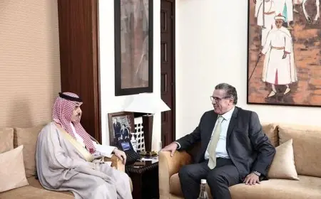 اخنوش يستقبل وزير الخارجية السعودي
