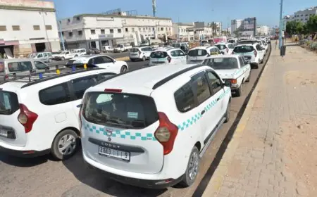 الحكومة ترفع قيمة الدعم المقدم لمهنيي النقل ب 40%