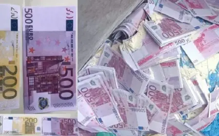 التحقيق في تزوير أزيد من 6 ملايين أورو بالمحمدية