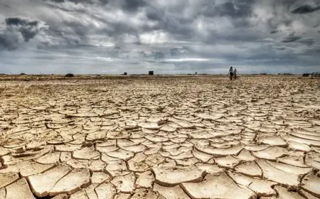 إجتماع طارئ بالرباط يناقش  وضعية الجفاف وقلة الموارد المائية بالمغرب