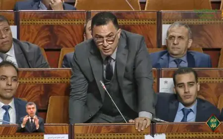 الزيتوني يدين الخطوة الحمقاء لرئيس تونس ويذكره بدعم الملك
