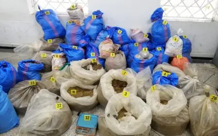 تطوان.. توقيف 3 أشخاص للاشتباه في محاولتهم تهريب أزيد  من طن من المخدرات