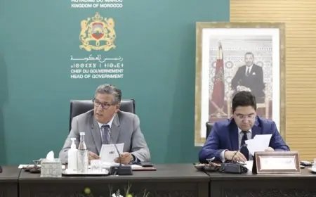 اخنوش وبوريطة يمثلان المغرب في القمة العربية بالجزائر
