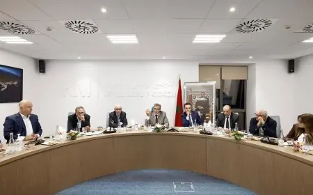 المكتب السياسي للأحرار يشيد بالدبلوماسية النشيطة للمملكة