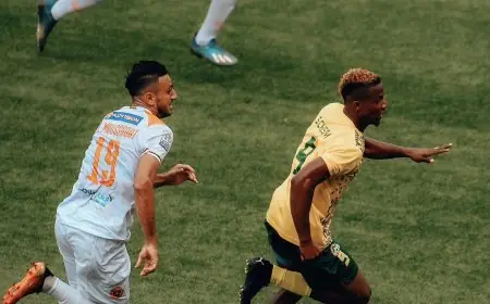 هزيمة الوداد في دوري ابطال إفريقيا ونهضة بركان في كأس الكاف