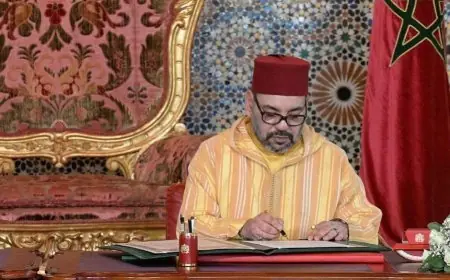 الملك محمد السادس يغيب عن القمة العربية بالجزائر