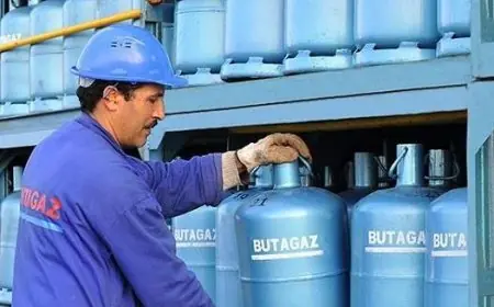 وزيرة الاقتصاد والمالية تؤكد استمرار دعم الحكومة للسكر والقمح والغاز