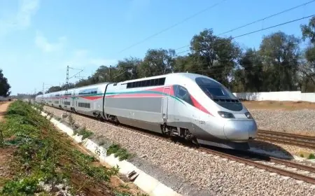 شركة فرنسية تفوز بصفقة انجاز ثاني خط ل "TGV" بالمغرب
