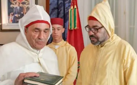 الملك يعين الحبيب المالكي رئيسا للمجلس الأعلى للتربية والتكوين والبحث العلمي