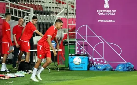 الأسود ينهون تدريباتهم إستعدادا لمواجهة فرنسا