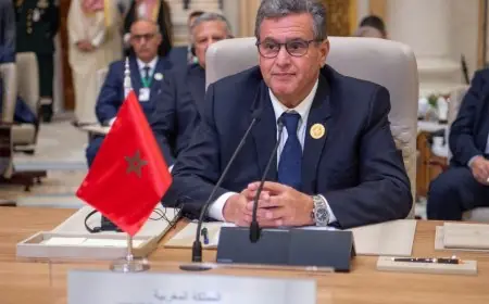 اخنوش يمثل الملك في قمة قادة الولايات المتحدة و افريقيا بواشنطن