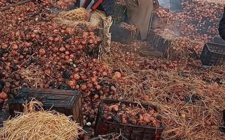 إيقاف عشريني أضرم النار في شاحنات للخضر ببرشيد