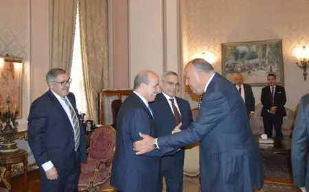 ميارة يجري مباحثات مع وزير الخارجية المصري