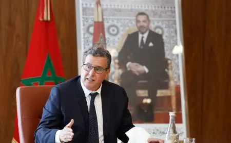 أخنوش يفرج عن مراسيم القانون الاطار الخاص بالاستثمار