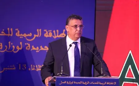 وهبي يعرض على رئيس وزارء العراق الاستفادة من خبرة العدالة المغربية