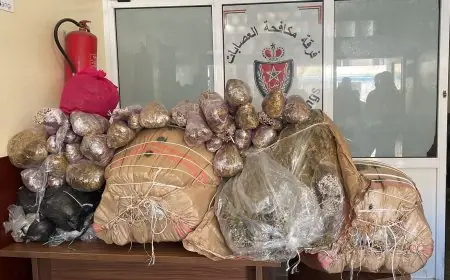 أمن أكادير يطيح  بمروجي مخدرات و يحجز كميات مهمة من مسحوق التبغ والشيرا