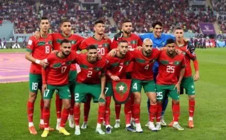 هذه تشكيلة الأسود أمام البرازيل