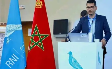 أسامة فوزي يكتب : بن عبد الله ونكسة 2017 دروس لم تستفاد
