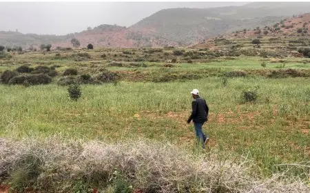 الحوز : مبادرة وزارية لاستعادة النظام الايكولوجي للغابات